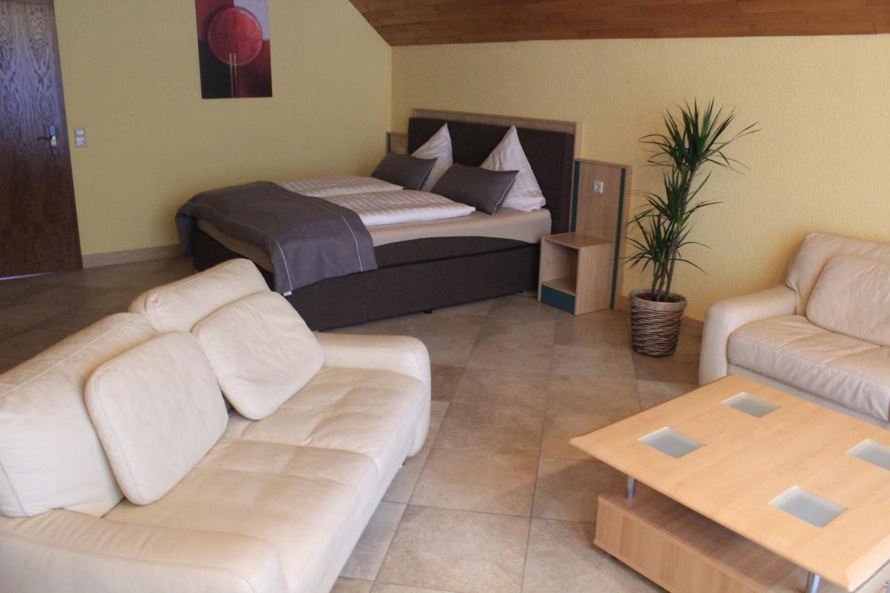 Hotel Haus Schieferstein à Dahlem  Extérieur photo